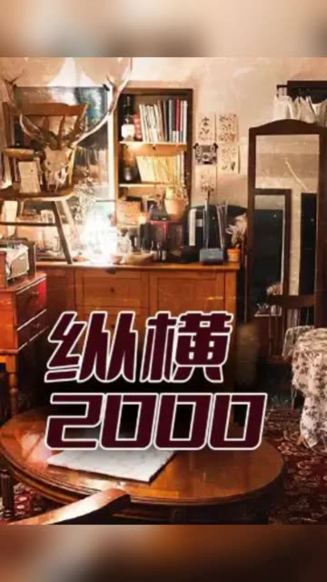 纵横2000